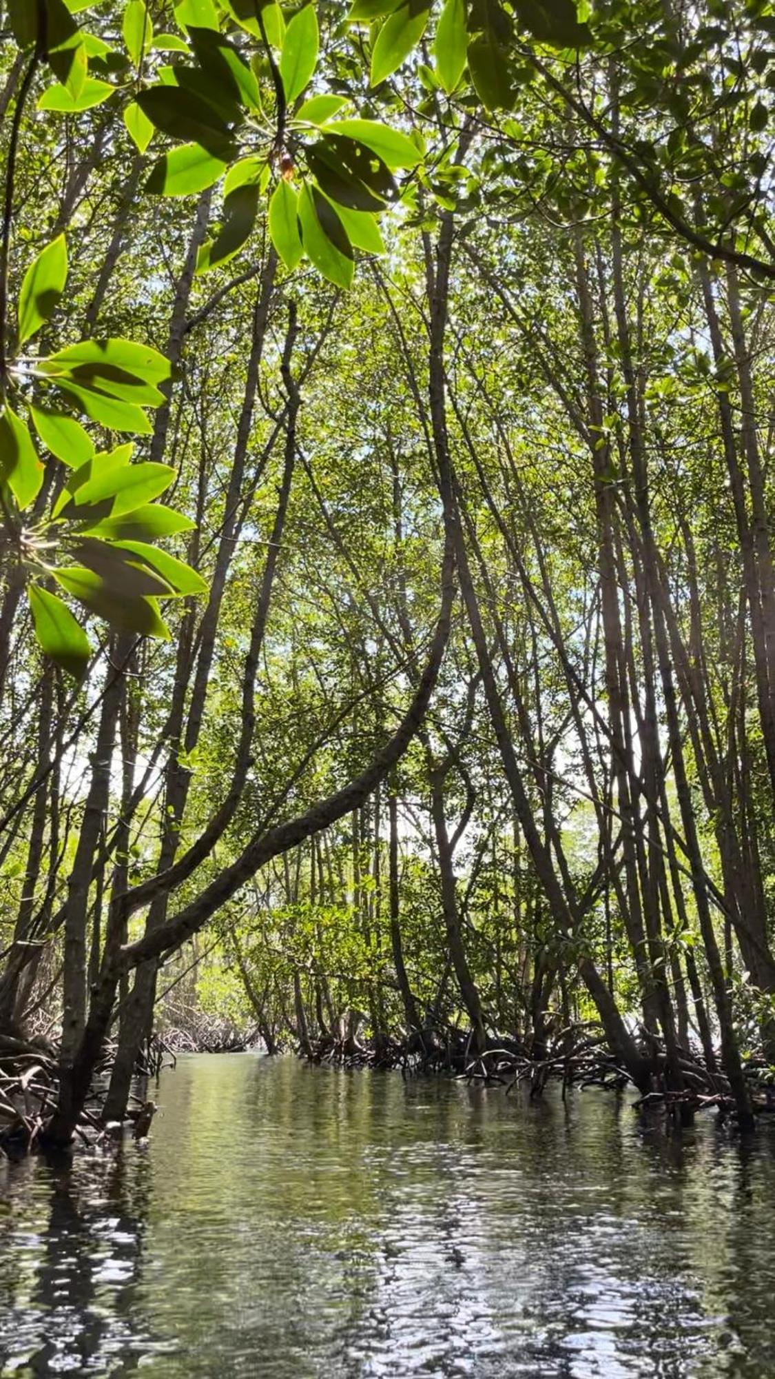 Mangrove Beach Hut レンボンガン島 エクステリア 写真
