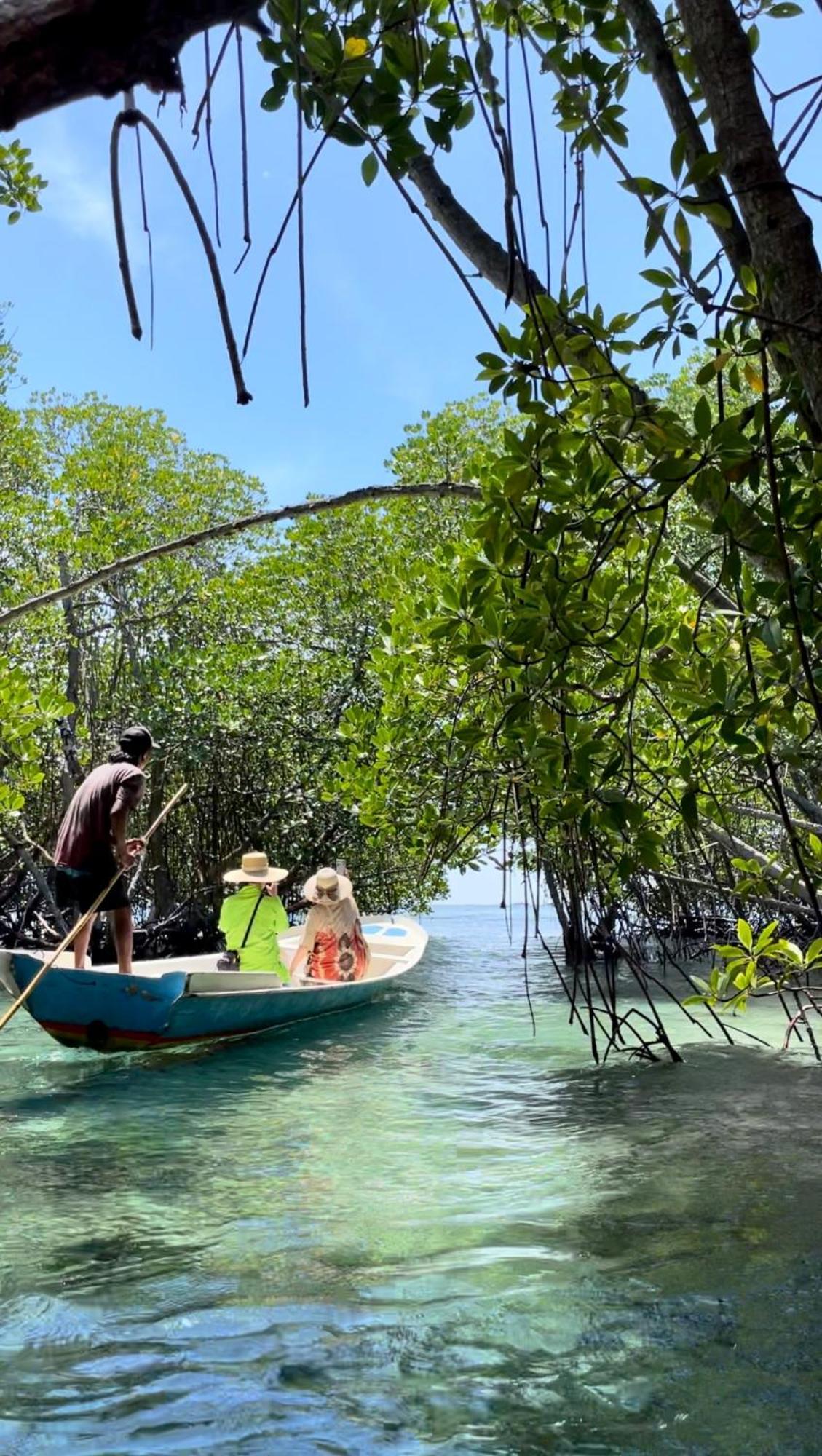 Mangrove Beach Hut レンボンガン島 エクステリア 写真
