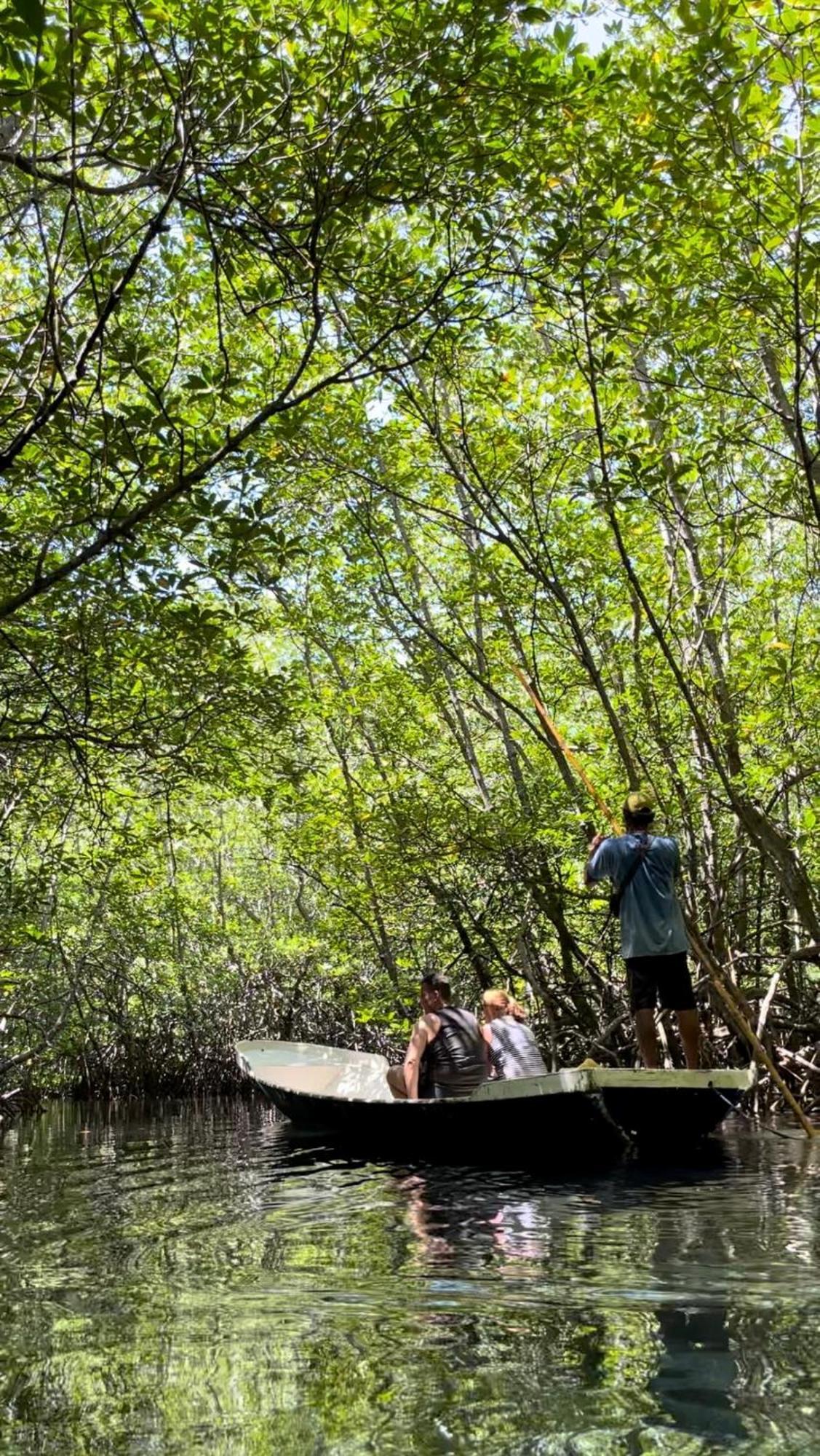 Mangrove Beach Hut レンボンガン島 エクステリア 写真